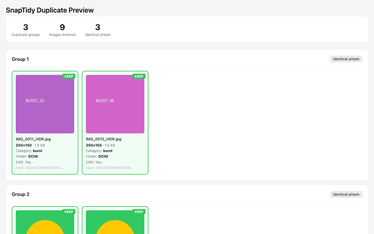SnapTidy Duplicate Preview